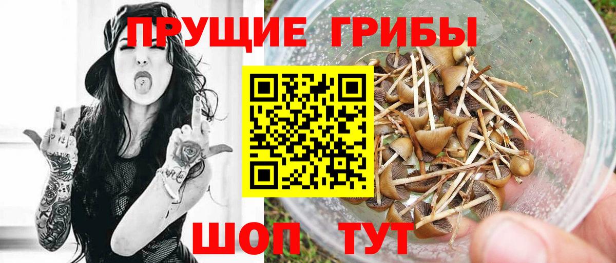 Каменск-Уральский  Галлюциногенные грибы мицелий  Вход с VPN 